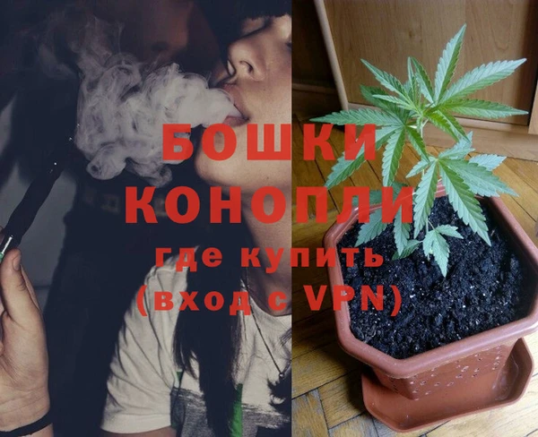 гашик Нефтекумск