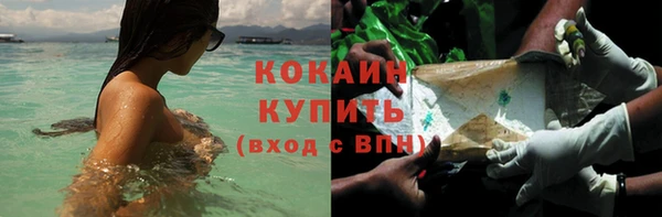гашик Нефтекумск