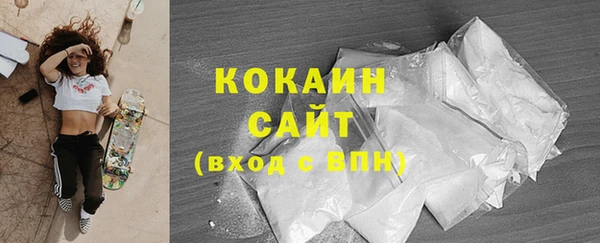 гашик Нефтекумск
