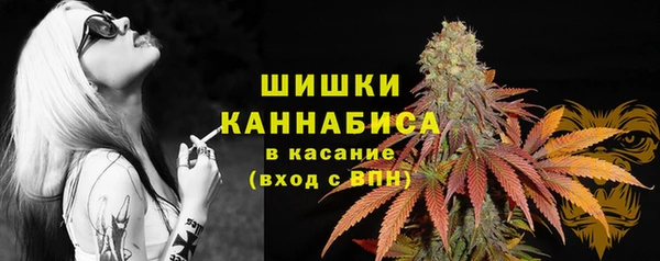 гашик Нефтекумск