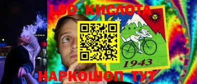 стафф Камышлов