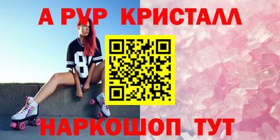 стафф Камышлов