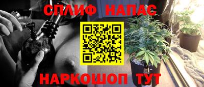 стафф Камышлов
