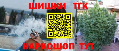 стафф Камышлов