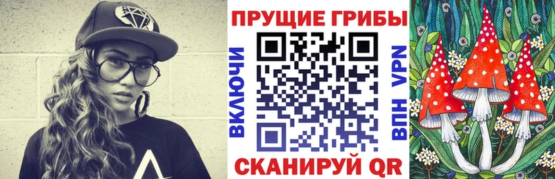 Галлюциногенные грибы ЛСД  KRAKEN зеркало  Торжок 