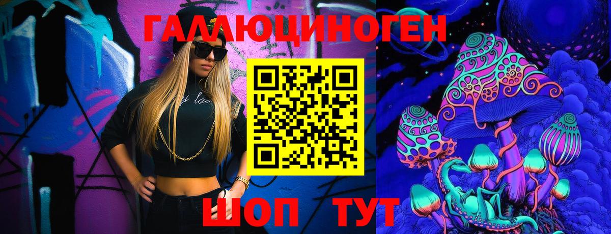 Торжок  Галлюциногенные грибы Cubensis  Вход с VPN  Псилоцибиновые грибы Cubensis 